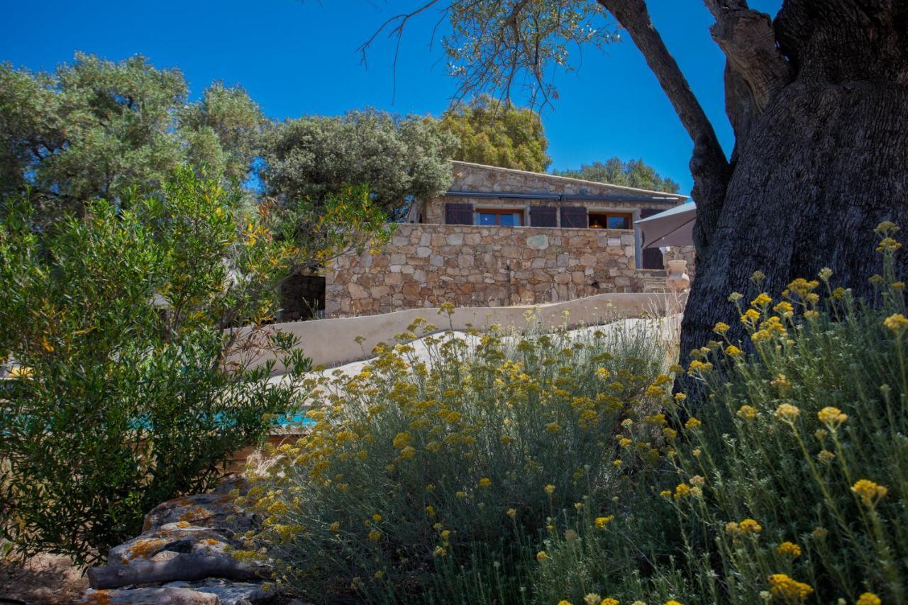Villa Bodri, Maison En Pierre Avec Vue Mer Et Piscine Chauffee LʼÎle-Rousse Екстериор снимка