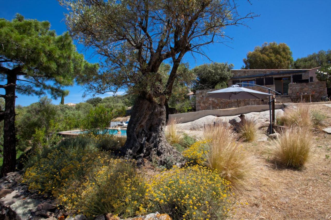 Villa Bodri, Maison En Pierre Avec Vue Mer Et Piscine Chauffee LʼÎle-Rousse Екстериор снимка